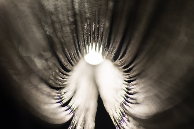 crystal-chandelier-lighting-designer-manooi-voile A detailed photo of the crystal sparkle of the Voile D luxury chandelier.